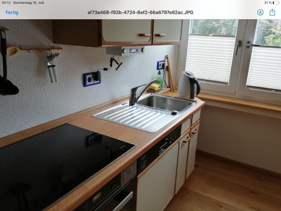 Ferienwohnung Apartment Doppelzimmer In Der Villa Naturpark Rheinblick, Ruhig, Aussicht, Pool Кобленц Экстерьер фото