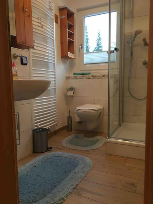 Ferienwohnung Apartment Doppelzimmer In Der Villa Naturpark Rheinblick, Ruhig, Aussicht, Pool Кобленц Экстерьер фото
