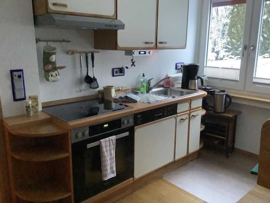 Ferienwohnung Apartment Doppelzimmer In Der Villa Naturpark Rheinblick, Ruhig, Aussicht, Pool Кобленц Экстерьер фото