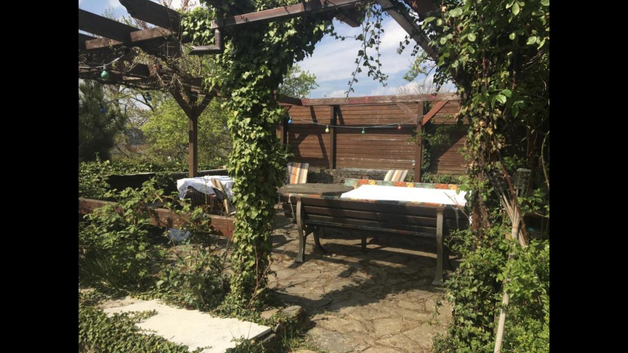 Ferienwohnung Apartment Doppelzimmer In Der Villa Naturpark Rheinblick, Ruhig, Aussicht, Pool Кобленц Экстерьер фото